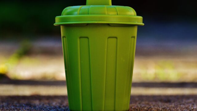 Alexas fotos garbage can
