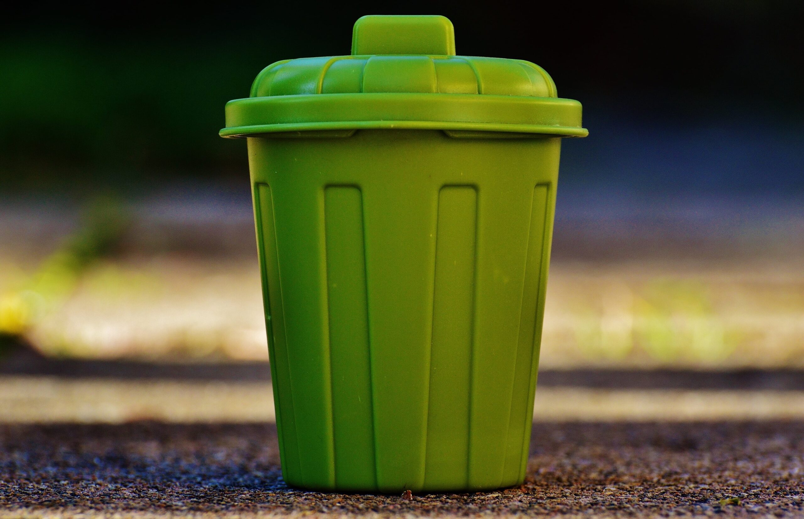 Alexas fotos garbage can