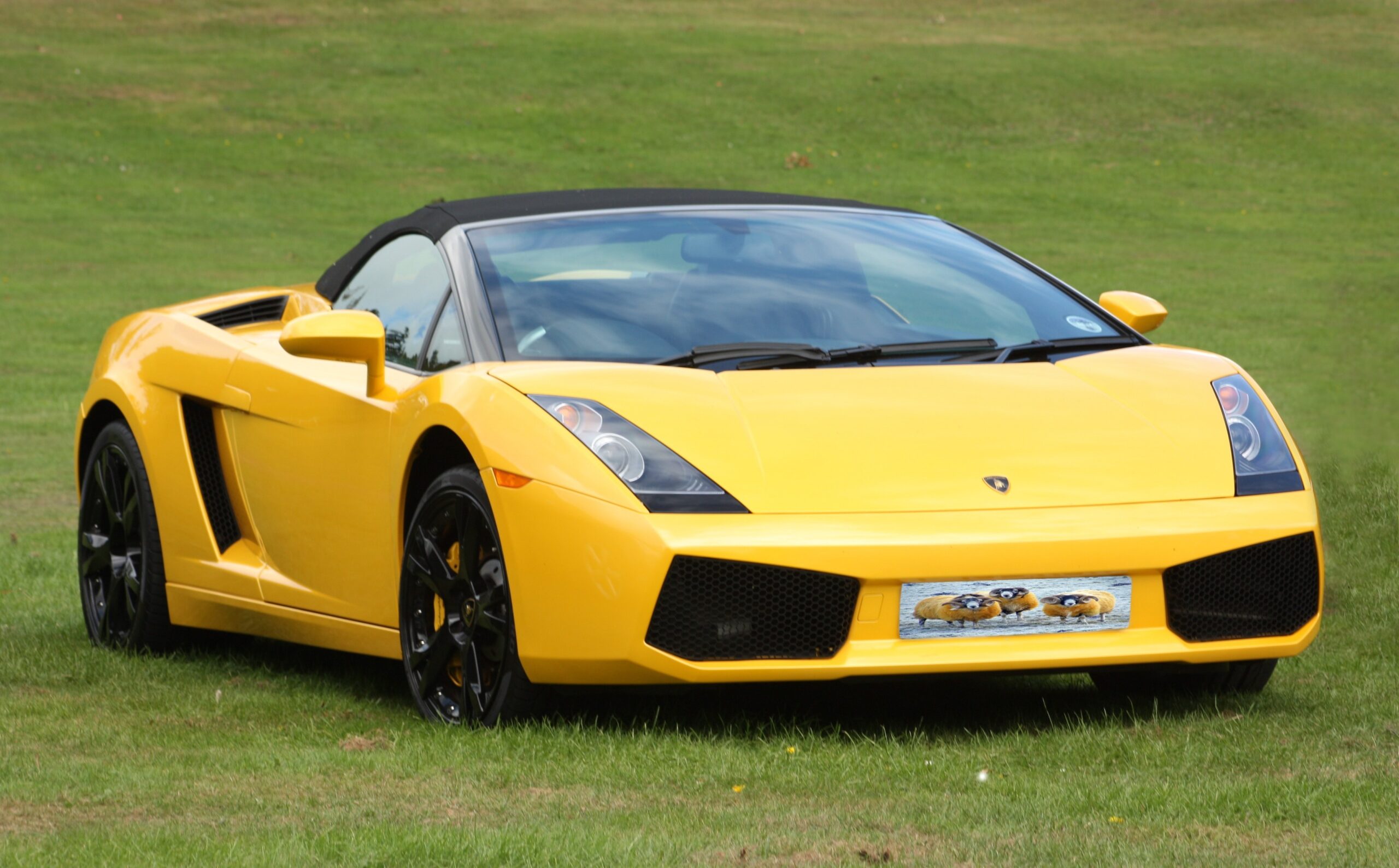 Publicdomainpictures sportscar 17583 (1)